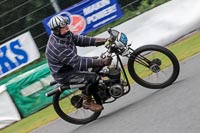 Silver_Grey Bikes